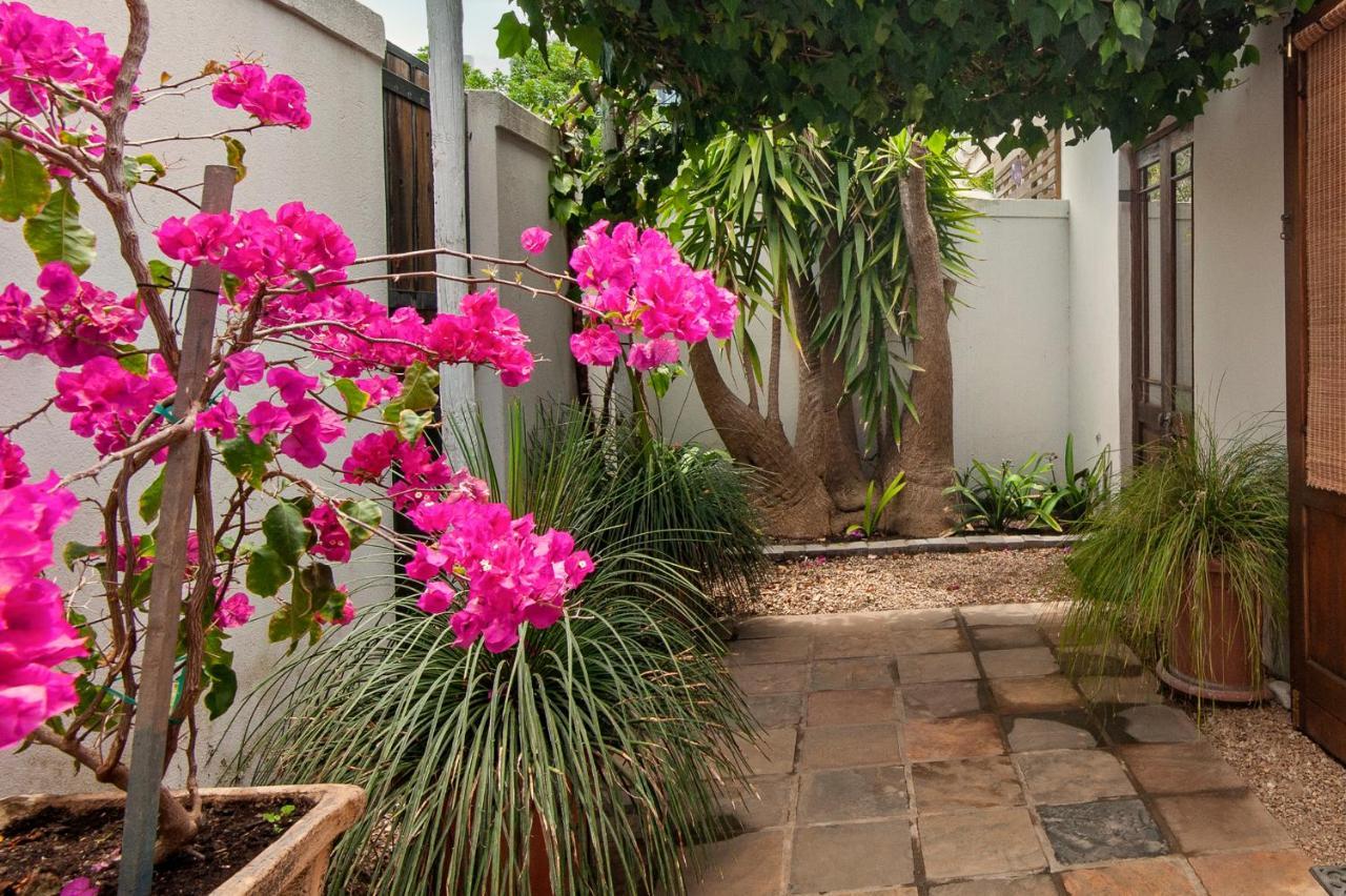 Windsong Cottage Hermanus Exterior photo